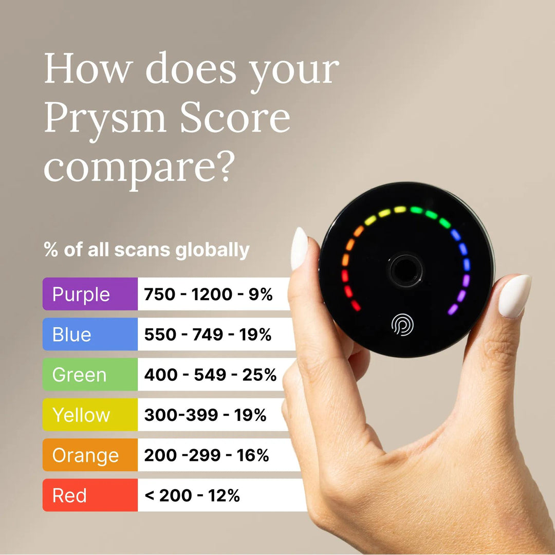 Prysm iO – Slide 6b